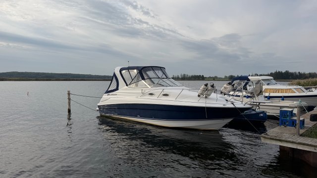 Larson cabrio 26 (2005)