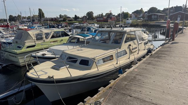 Jupiter 31 (1979)