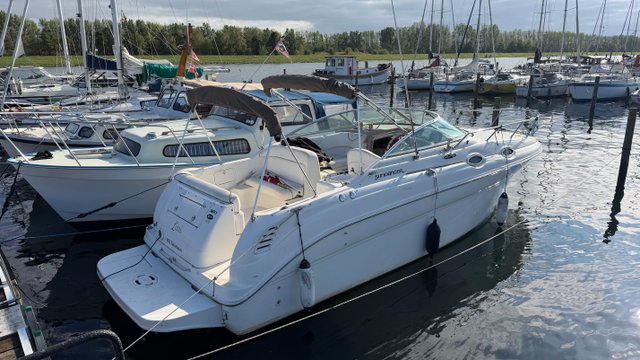 Searay sundanser 260 2001 – Mercruser 350 350HK