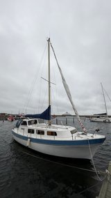 Finnsailer 35 (1976) – Bladt diesel NY, 46 HK – billede 3 af 66