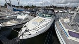 Monterey 290 (2005) – 2 x Volvo Penta D3 160, 320 HK – billede 5 af 51