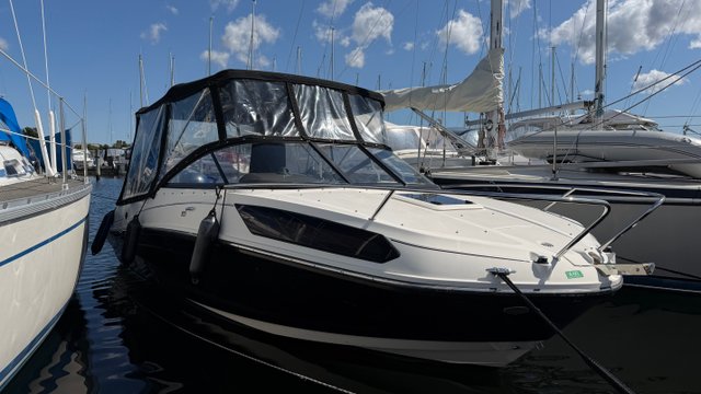 Bayliner VR5 Cuddy 2019